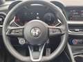 Alfa Romeo Stelvio Sportpaket AHK LED RFK Padach AssPaket Zilver - thumbnail 11