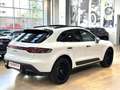 Porsche Macan 2.0 PDK - 21"-PDLS-Tetto-Camera 360-Scarichi-Pelle Alb - thumbnail 4