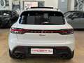 Porsche Macan 2.0 PDK - 21"-PDLS-Tetto-Camera 360-Scarichi-Pelle Alb - thumbnail 9