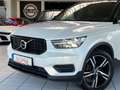 Volvo XC40 R Design *Pano*Leder* 90Tkm Weiß - thumbnail 6