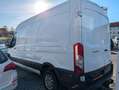 Ford Transit Kasten 310 L3 PDC Cam AHK DAB AC Temp Weiß - thumbnail 4