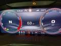 Skoda Kamiq Monte Carlo 1.0 TSI DSG Navi Pano Matrix LED Kess Gris - thumbnail 19