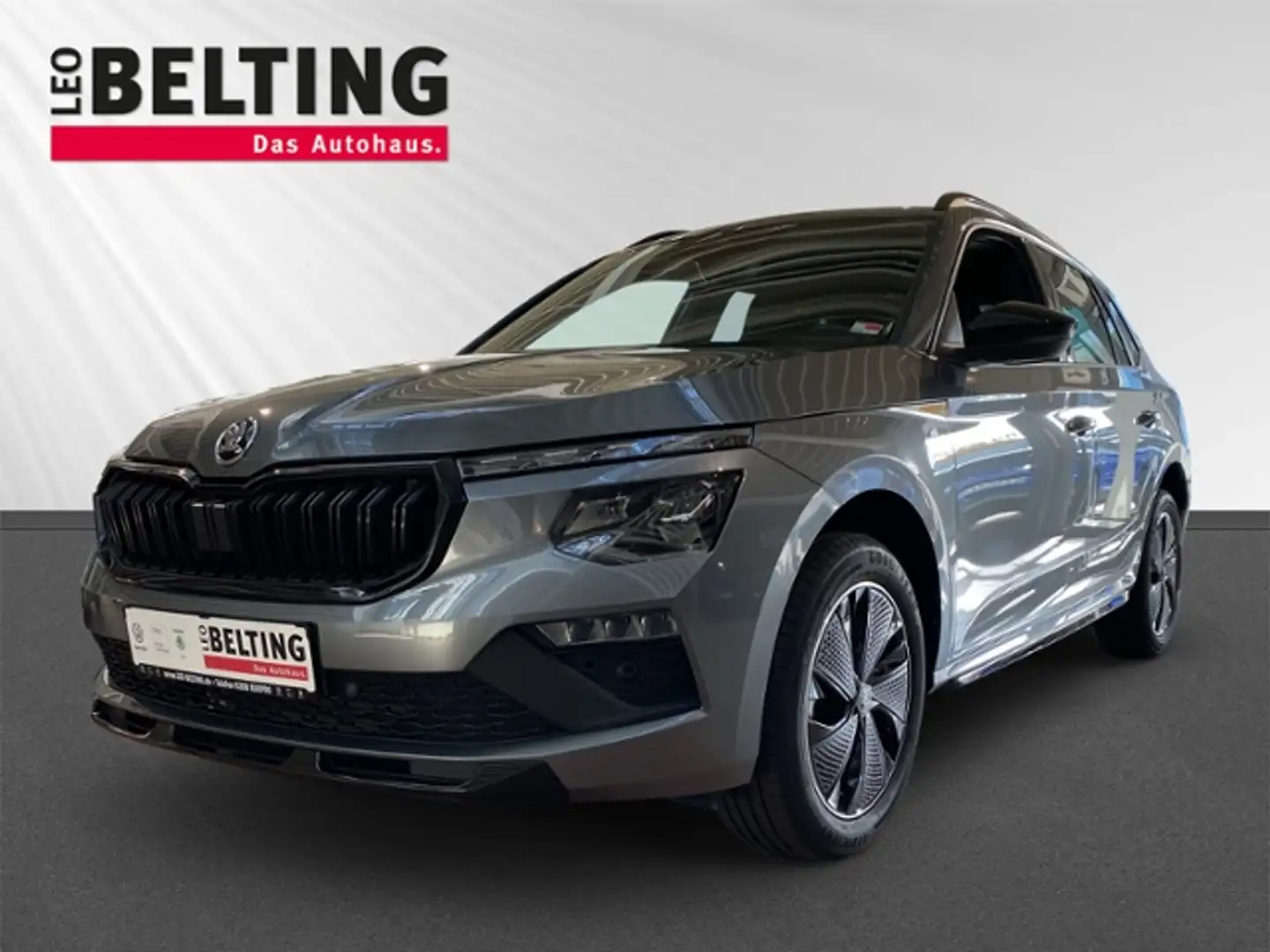 Skoda Kamiq Monte Carlo 1.0 TSI DSG Navi Pano Matrix LED Kess Gris - 2