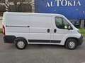 Fiat Ducato Fg. 30 2.3Mjt L1 H1 120CV Wit - thumbnail 6