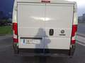 Fiat Ducato Fg. 30 2.3Mjt L1 H1 120CV Wit - thumbnail 4