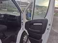Fiat Ducato Fg. 30 2.3Mjt L1 H1 120CV Wit - thumbnail 30