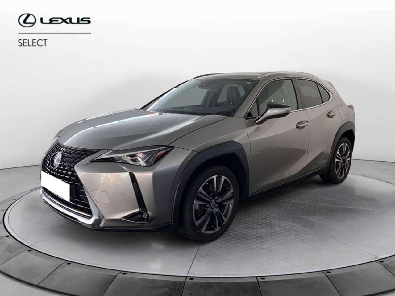 Lexus UX 250h Luxury 2wd cvt