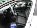 Citroen C3 C3 1.2 PURETECH 68CV E6 LIVE KM CERTIFICATI Bianco - thumbnail 9