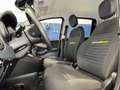 Fiat Panda 1.0 FireFly 70cv S&S Hybrid Nero - thumbnail 9