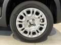 Fiat Panda 1.0 FireFly 70cv S&S Hybrid Nero - thumbnail 7