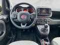 Fiat Panda Cross 4x4 85PS Gelb - thumbnail 15