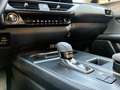 Lexus UX 300h UX 300h 2.0 Urban 2wd cvt 199 cv Grün - thumbnail 11