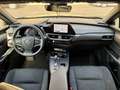 Lexus UX 300h UX 300h 2.0 Urban 2wd cvt 199 cv Grün - thumbnail 14