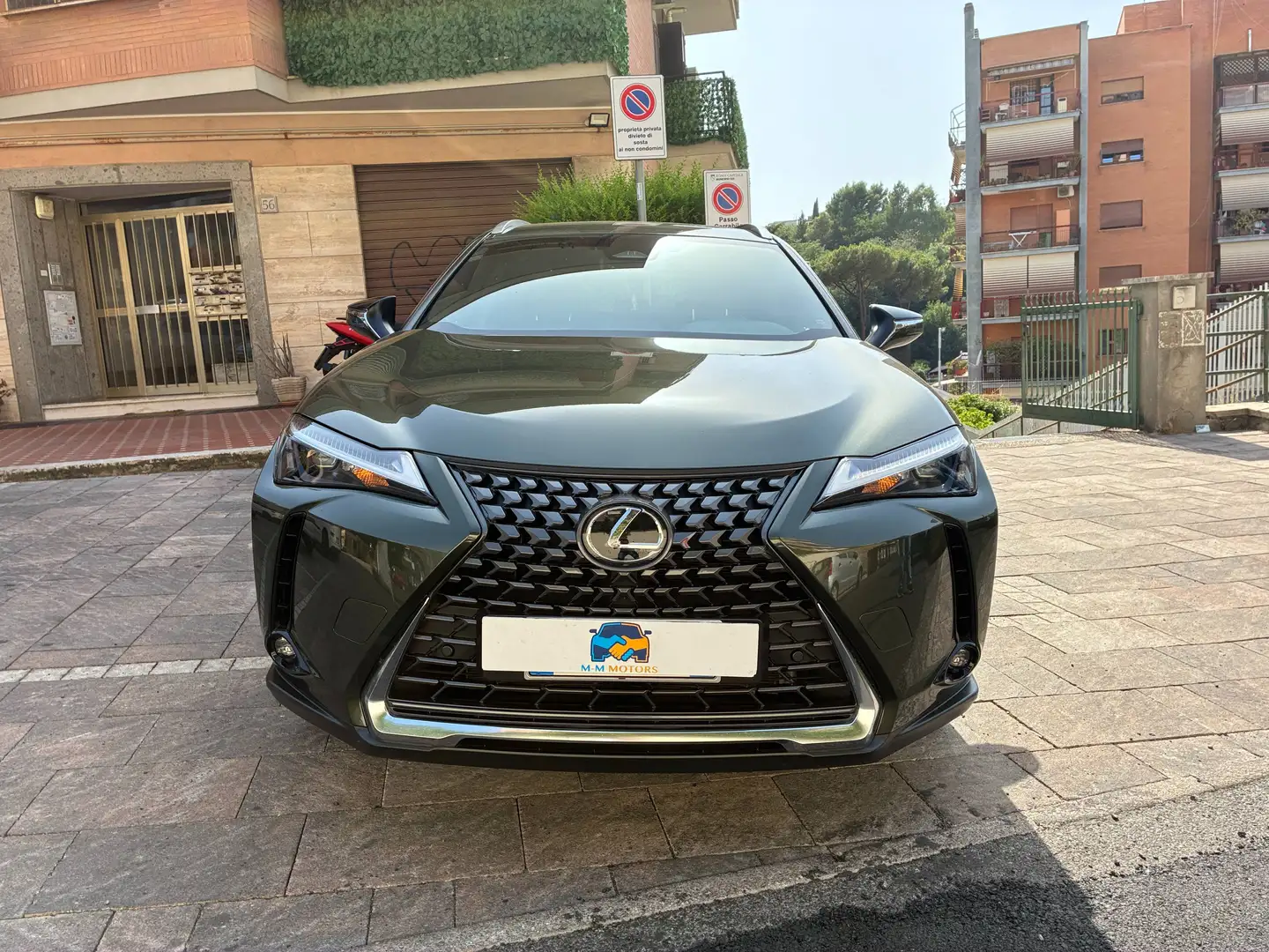 Lexus UX 300h UX 300h 2.0 Urban 2wd cvt 199 cv Grün - 2