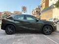 Lexus UX 300h UX 300h 2.0 Urban 2wd cvt 199 cv Grün - thumbnail 4