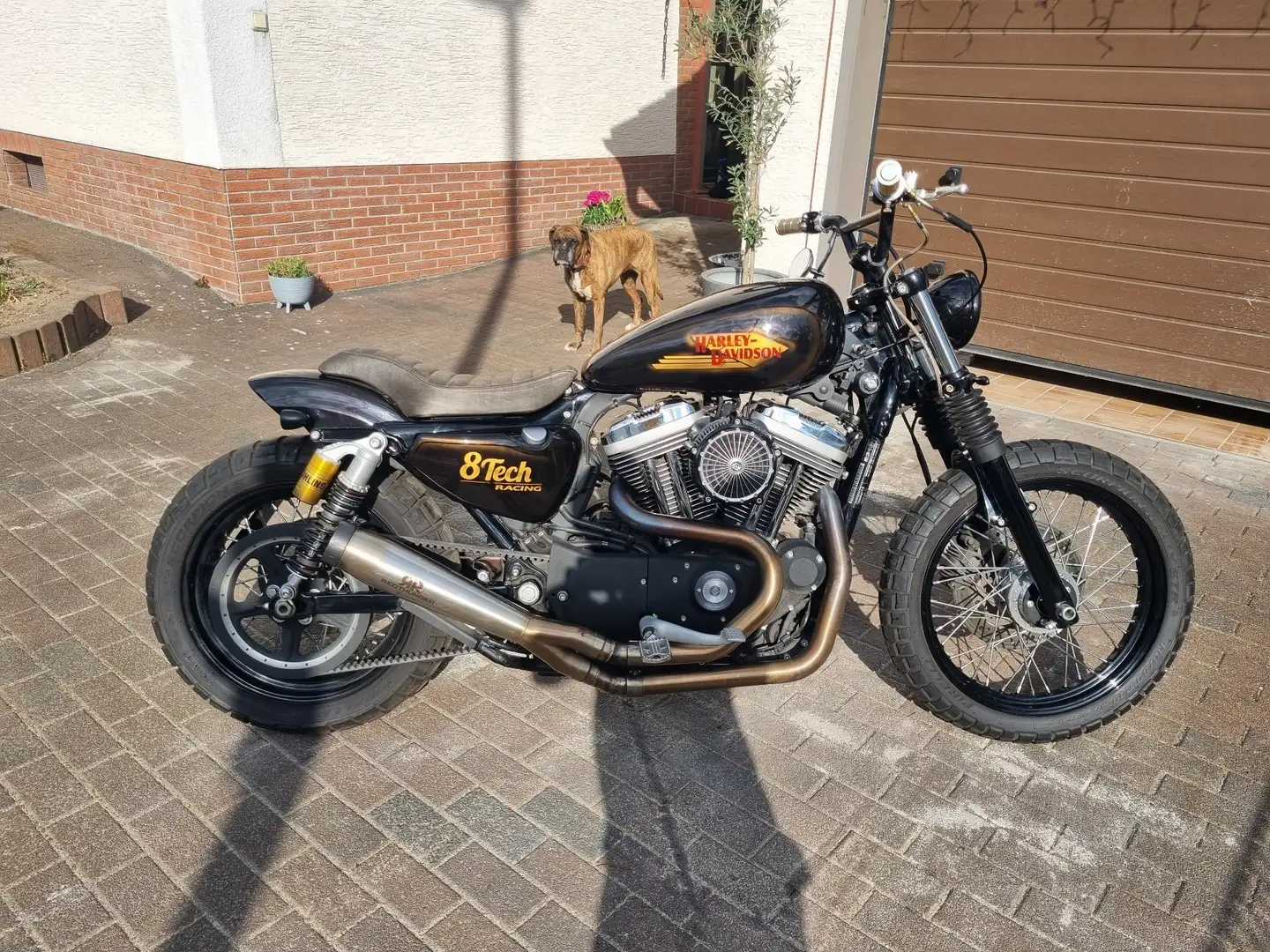 Harley-Davidson Iron 883 1200ccm Auriu - 2