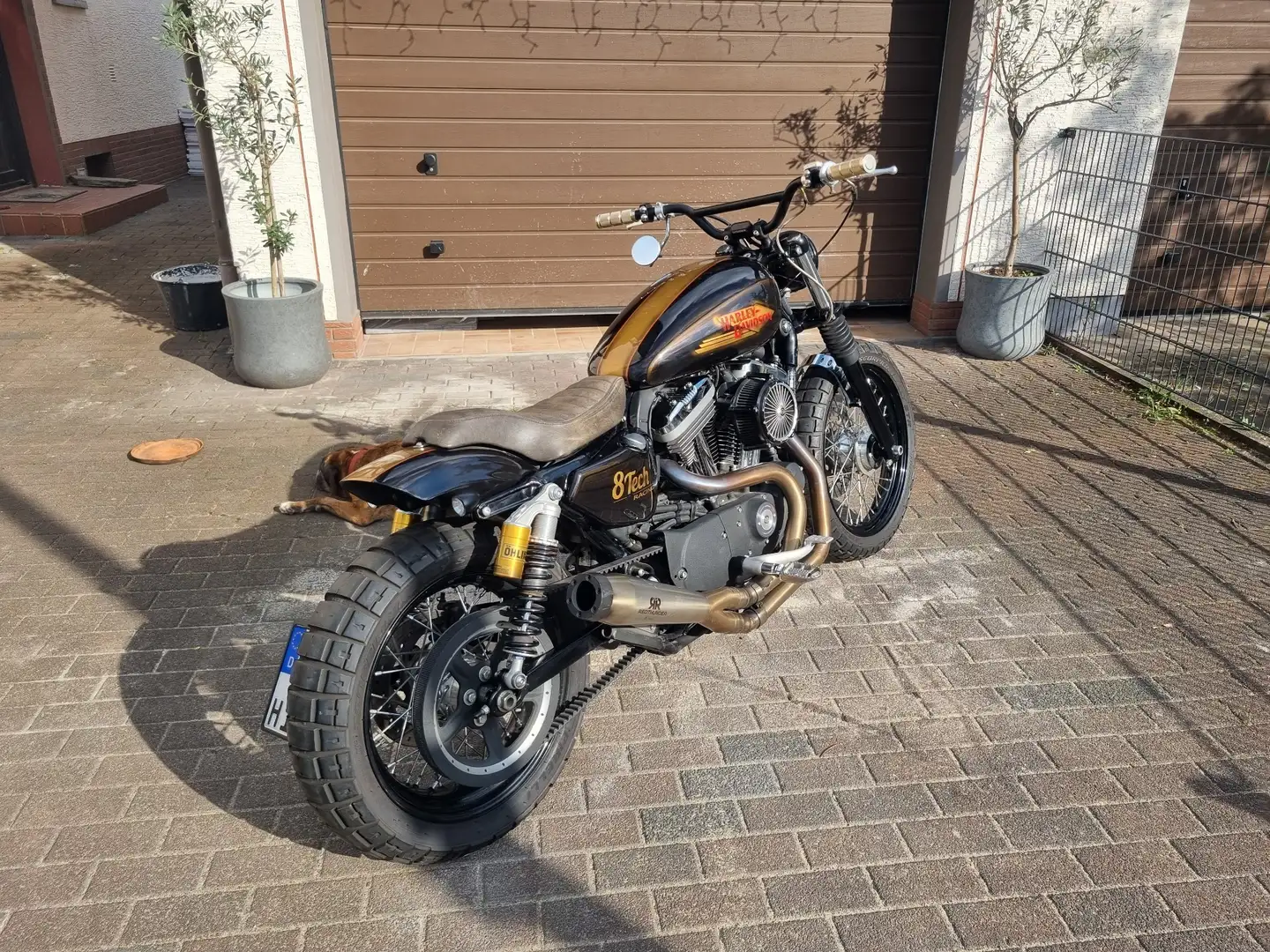 Harley-Davidson Iron 883 1200ccm Auriu - 1