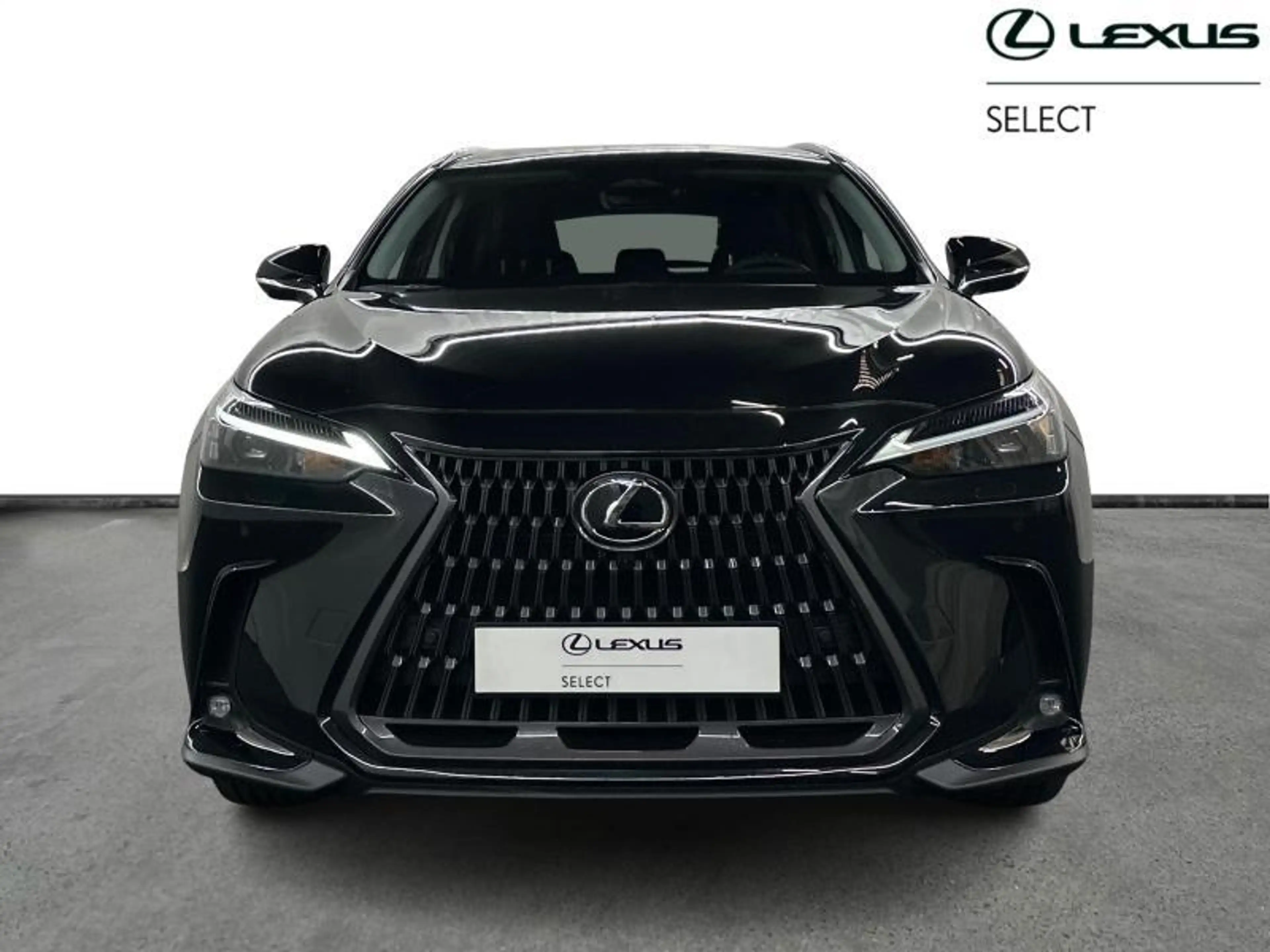 Lexus NX 350h 244 hp HEV Executive L | head up display — photo 5