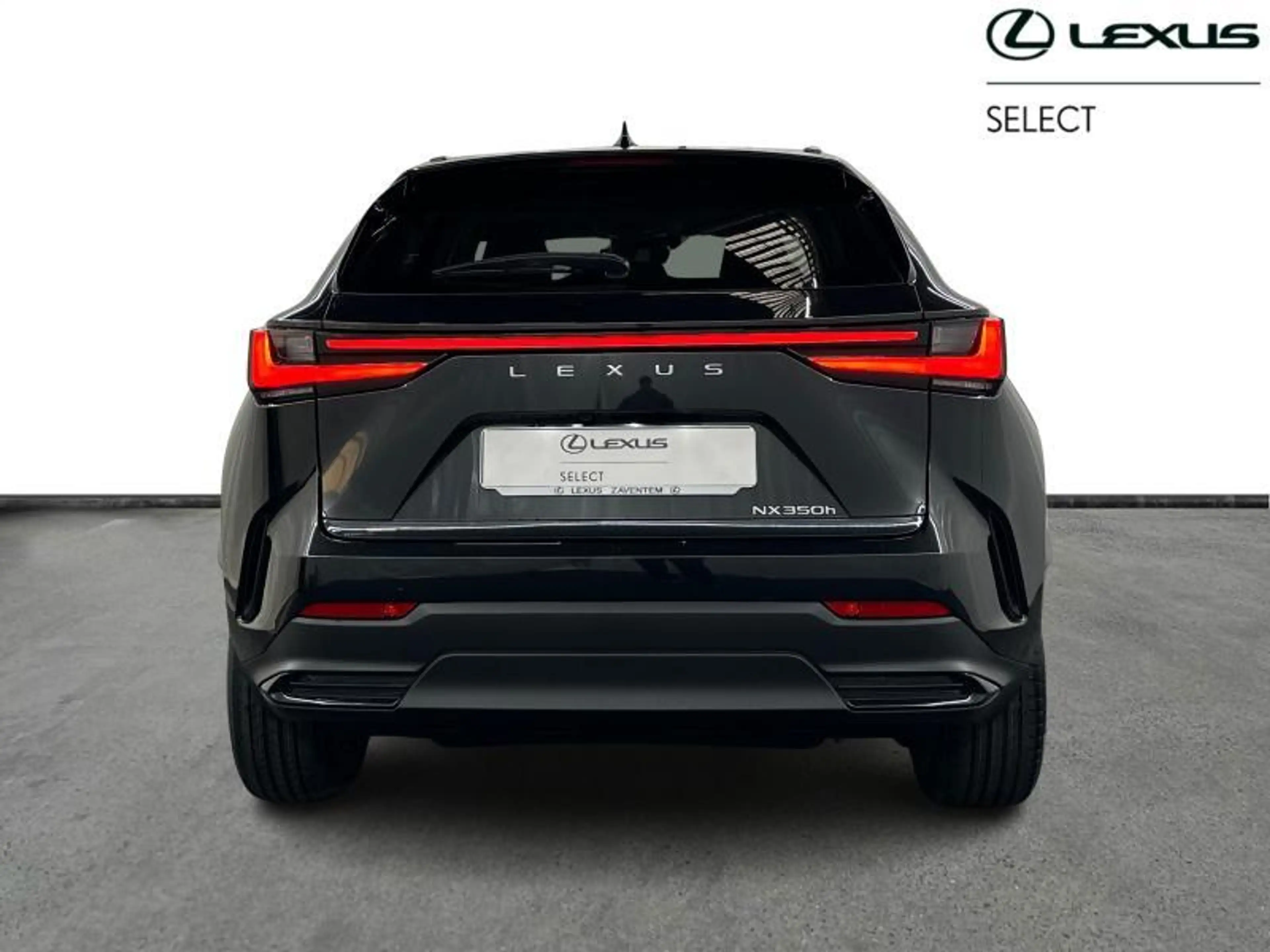 Lexus NX 350h 244 hp HEV Executive L | head up display — photo 4