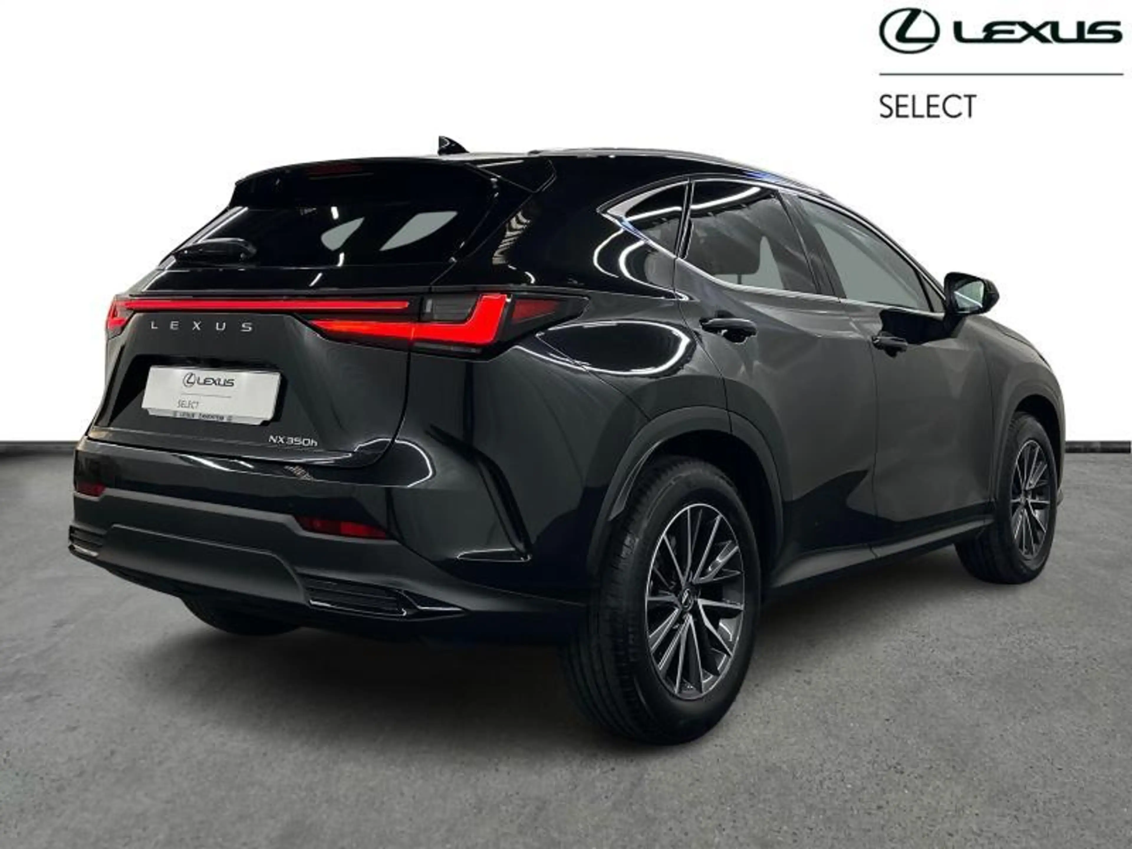 Lexus NX 350h 244 hp HEV Executive L | head up display — photo 15