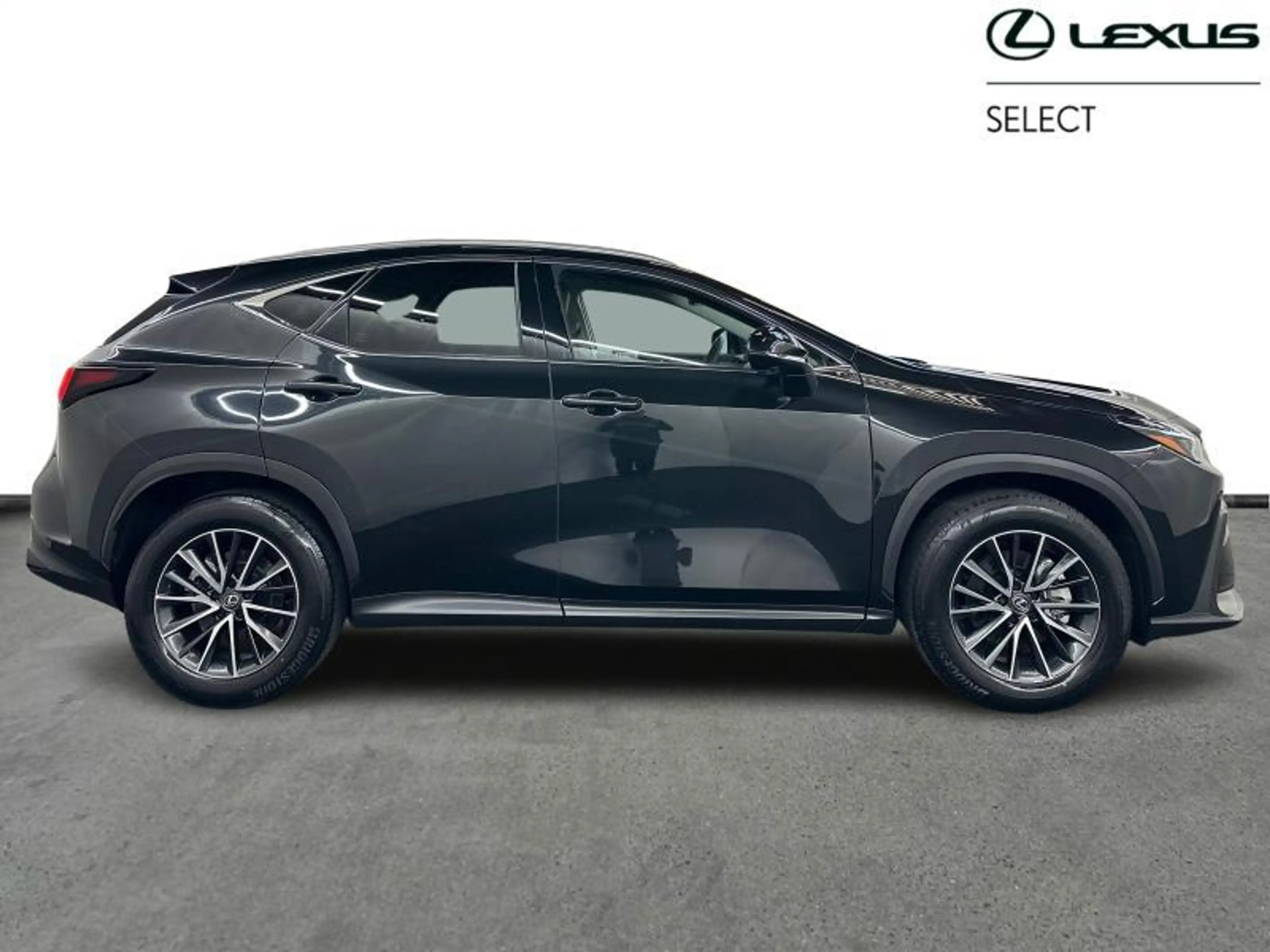 Lexus NX 350h 244 hp HEV Executive L | head up display — photo 14