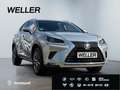 Lexus NX 300h Executive Line *Bi-LED*CAM*Leder*el Sitze* Argento - thumbnail 4