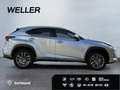 Lexus NX 300h Executive Line *Bi-LED*CAM*Leder*el Sitze* Argento - thumbnail 10