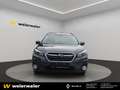 Subaru OUTBACK Outback 2,5i Premium AWD CVT Premium Grau - thumbnail 2
