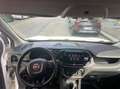 Fiat Doblo Doblo 1.9 mjt Active 105cv Blanc - thumbnail 18