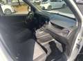 Fiat Doblo Doblo 1.9 mjt Active 105cv Bianco - thumbnail 9