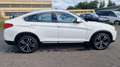 BMW X4 xDrive 20 d xLine Pano Standh. Kamera ACC AHK Blanc - thumbnail 8