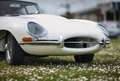Jaguar E-Type Type E Série 1 Blanc - thumbnail 7