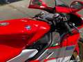 MV Agusta F4 1000 1000 S corse Czerwony - thumbnail 6