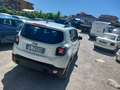 Jeep Renegade Renegade 1.6 mjt Business fwd 120cv auto - thumbnail 3