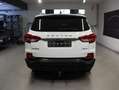 SsangYong Rexton Rexton 2.2D*Allrad*AUT*AHK*NAVI*CAM*7 SITZER Weiß - thumbnail 5