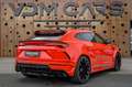 Lamborghini Urus *NOVITEC WIDEBODY*STARLIGHT*PANO*360*ADAS* Rot - thumbnail 9