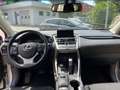 Lexus NX 300 300h 2.5 Executive 4wd cvt Grijs - thumbnail 3