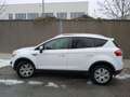 Ford Kuga Kuga 2,0 Titanium 4x4 TDCI DPF Aut. Titanium Weiß - thumbnail 4