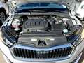 Skoda Octavia SW 2.0tdi evo Executive DSG UNIPRO IVA DEDUCIBILE - thumbnail 30
