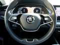 Skoda Octavia SW 2.0tdi evo Executive DSG UNIPRO IVA DEDUCIBILE - thumbnail 20