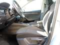 Skoda Octavia SW 2.0tdi evo Executive DSG UNIPRO IVA DEDUCIBILE - thumbnail 17
