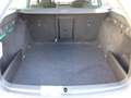 Skoda Octavia SW 2.0tdi evo Executive DSG UNIPRO IVA DEDUCIBILE - thumbnail 8