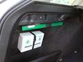 Skoda Octavia SW 2.0tdi evo Executive DSG UNIPRO IVA DEDUCIBILE - thumbnail 32