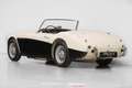 Austin-Healey 100 /6 BN6 + Overdrive - Fully Restored ! - Blanc - thumbnail 7