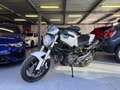 Ducati Monster 696 Blanc - thumbnail 1