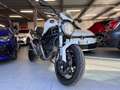 Ducati Monster 696 Blanco - thumbnail 14