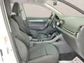 Skoda Karoq 2.0TDI AdBlue Ambition 4x4 DSG 110kW Blanco - thumbnail 33
