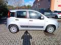 Fiat Panda 1.2 Easy 69cv E6 - thumbnail 4