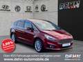 Ford S-Max 2.0 EB AT Titanium Business LED AHK SHZ Rosso - thumbnail 1
