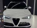 Alfa Romeo Stelvio Stelvio 2.2 Turbodiesel 210 CV AT8 Q4 Veloce Blanc - thumbnail 2